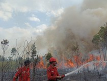Karhutla Terjadi di Perbatasan Palembang-Banyuasin, 3 Hektare Lahan Dipadamkan