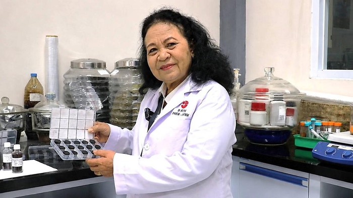 Peneliti dari Pusat Riset Kimia Molekuler Badan Riset dan Inovasi Nasional (BRIN) Prof Anny Sulaswatty dan tim berhasil mengembangkan limbah rimpang jahe (Zingiber officinale) menjadi biobriket