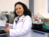 Inovasi Terbaru BRIN, Limbah Jahe Kini Bisa Jadi Energi Terbarukan