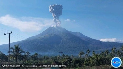 Visual erupsi Gunung Lewotobi Laki-laki di Kabupaten Flores Timur, NTT, pukul 08.12 Wita pada Sabtu (11/7/2026). (Foto: PVMBG)