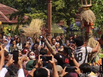 Meriahnya Grebeg Sura Baturraden, Gunungan 5 Meter Ludes Diserbu Warga