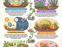 Infografis: 6 Cara Basmi Putancang yang Bikin Tanaman di Rumah Mati