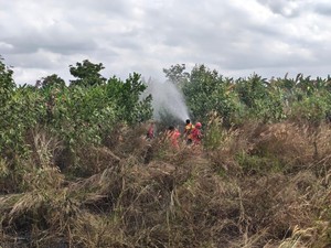Karhutla Sungai Tendang Meluas, 10 Hektare Lahan Dekat Bandara Terbakar