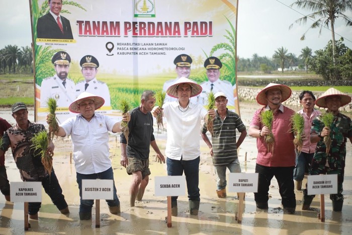 Lahan Pertanian di Aceh Kembali Ditanami, Sekda Apresiasi Satgas PRR