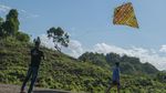 Layang-layang Kaghati Kolope Terbang di Langit Muna