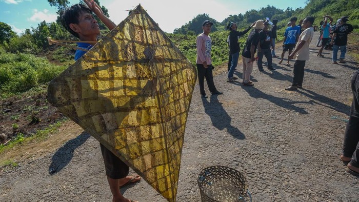 Sejumlah peserta mengamati layang-layang Kaghati Kolope yang diterbangkan di Pelataran Lapego, Desa Liang Kabori, Kabupaten Muna, Sulawesi Tenggara, Minggu (12/7/2026). Pemkab Muna menggelar lomba layang-layang yang terbuat dari bahan daun ubi hutan (kolope) yang dirangkaikan dengan bambu dan tali dari serat buah nanas tersebut sebagai upaya menjaga tradisi dan menggaungkan kembali warisan leluhur kepada generasi muda di wilayah itu. ANTARA FOTO/Andry Denisah/bar