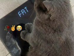 10 Meme yang Wajib Kamu Lihat Hari Ini, Lucu-lucu Lho