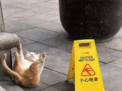 10 Meme yang Wajib Kamu Lihat Hari Ini, Lucu-lucu Lho