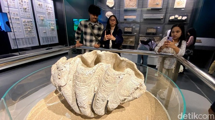 Museum Geologi di Kota Bandung.