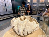 Menjelajah Jejak Masa Lampau di Museum Geologi Bandung