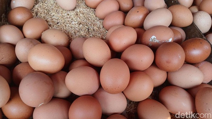 Penampakan telur ayam di Pasar Sukaramai Kota Medan. (Foto: Juita Sinuhaji/detikSumut)