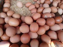 Harga Telur Ayam di Pasar Sukaramai Medan Naik, Pedagang Ungkap Penyebabnya