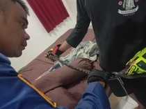 Ular Black Weling Teror Warga Kuningan, Sembunyi di Balik Kasur