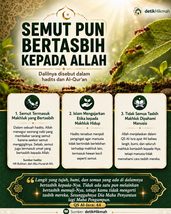 Semut bertasbih kepada Allah SWT.