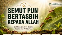 Tidak boleh membunuh makhluk hidup seperti semut, karena semutpun bertasbih kepada Allah. Foto: Chat GPT / AI