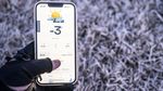 Suhu Minus 3 Derajat, Dieng Diselimuti Embun Beku