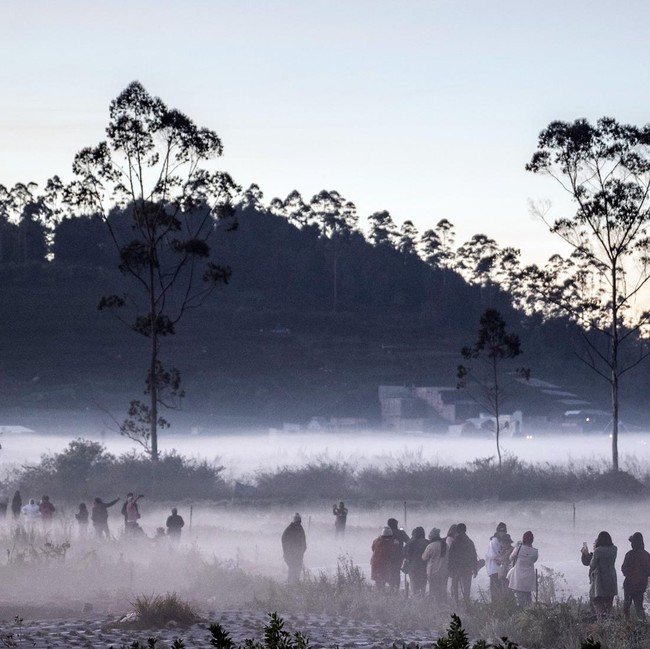Suhu Minus 3 Derajat, Dieng Diselimuti Embun Beku