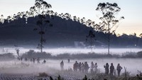 Suhu Minus 3 Derajat, Dieng Diselimuti Embun Beku