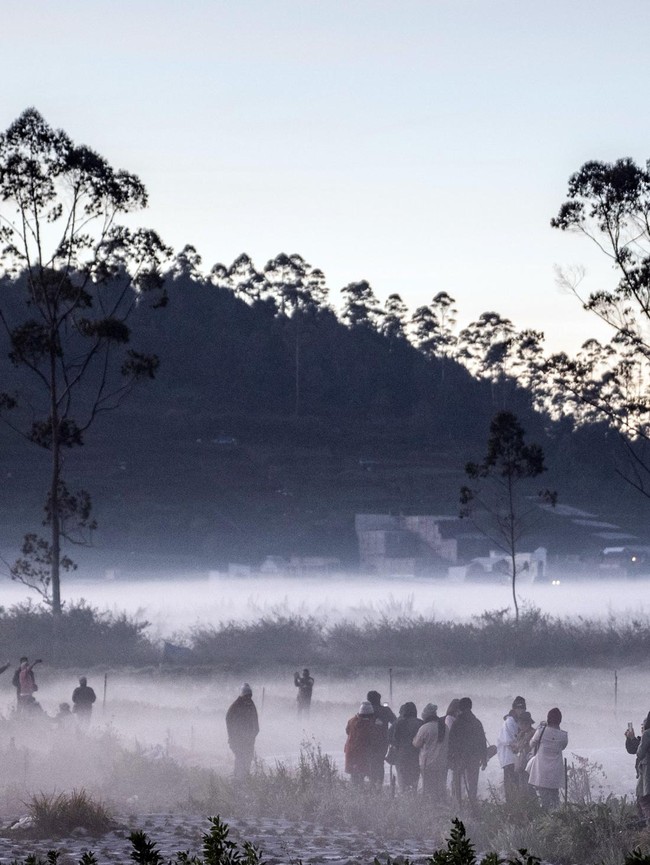 Suhu Minus 3 Derajat, Dieng Diselimuti Embun Beku