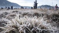Fakta-fakta Suhu Bediding di Pulau Jawa, Ini Penyebab hingga Daerah Paling Dingin