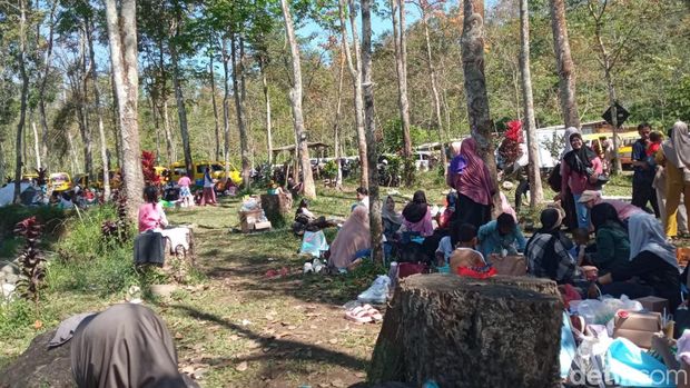 Wisata Kali Jompo di Jember. Wisata Kali Jompo di Jember.