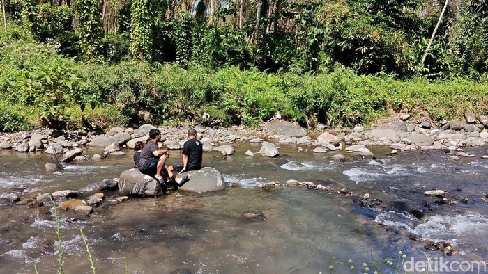 Wisata Kali Jompo di Jember.