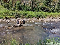 Kali Jompo Jember, Wisata Sungai Sejuk Favorit Saat Libur Sekolah