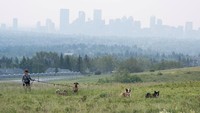Asap Kebakaran Hutan Ancam Kesehatan Warga Calgary