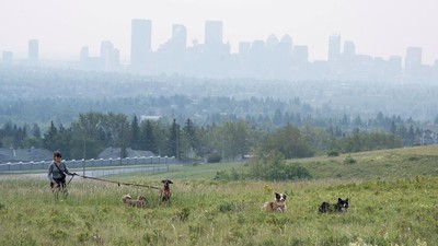 Asap Kebakaran Hutan Ancam Kesehatan Warga Calgary
