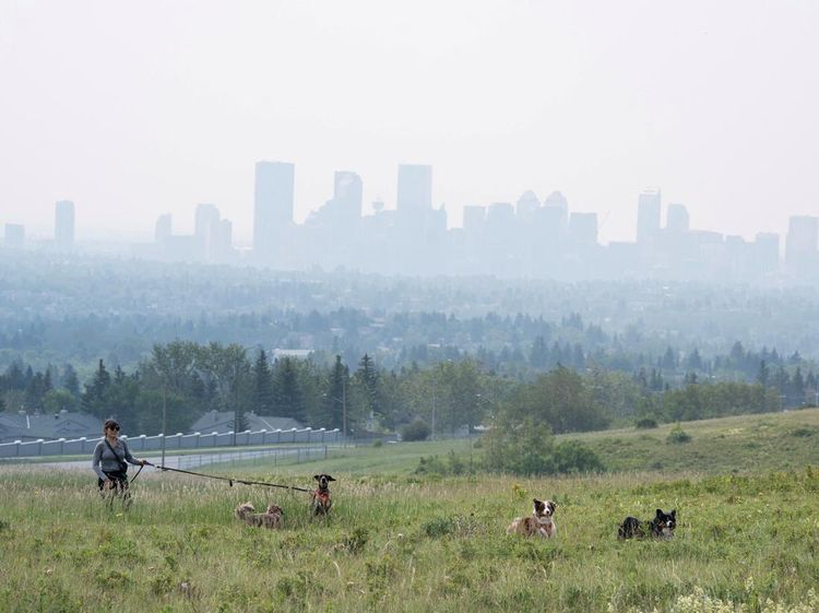 Asap Kebakaran Hutan Ancam Kesehatan Warga Calgary