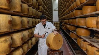 Gelombang Panas Ancam Produksi Keju Parmigiano