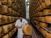Gelombang Panas Ancam Produksi Keju Parmigiano