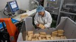 Gelombang Panas Ancam Produksi Keju Parmigiano