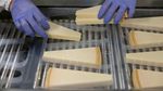 Gelombang Panas Ancam Produksi Keju Parmigiano