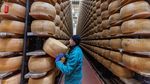 Gelombang Panas Ancam Produksi Keju Parmigiano