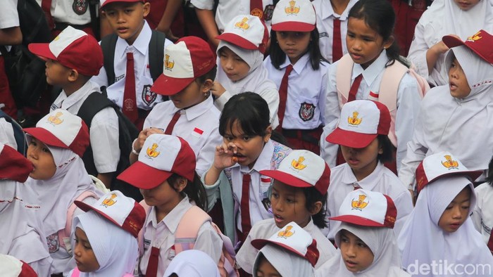 Apa Itu Dapodik dan Siapa yang Harus Input Datanya?