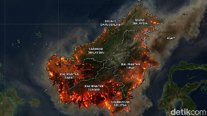 Ilustrasi kebakaran hutan Kalimantan