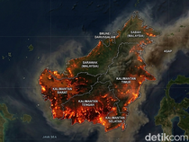 Kilas Balik Kebakaran Hutan Kalimantan 1997 yang Hanguskan Jutaan Hektare