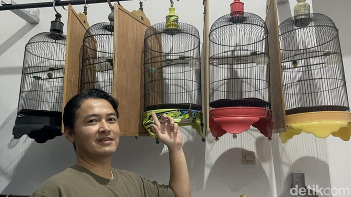 Jaksa Kejari Surabaya Arista Gandhi  saat menunjukkan koleksi dan siswa di Sekolah Burung Mastering kepada detikJatim di kawasan Tanggulangin Sidoarjo