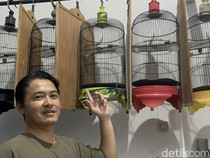 Kisah Adhyaksa di Surabaya Berternak Murai Batu Jawara Lintas Negara