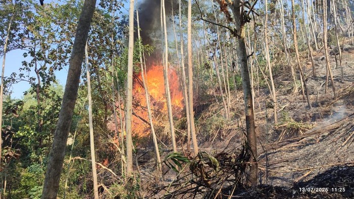 Kebakaran hutan di Trenggalek