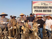 Dukung Ketahanan Pangan, Polres Bekasi Panen Raya 20 Ton Jagung