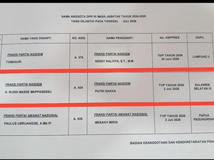 Beredar Daftar PAW NasDem, Putri Dakka Gantikan Rusdi Masse di DPR RI