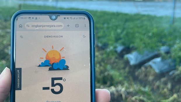 Tanaman petani Dieng diselimuti embun es saat suhu -5 derajat Celcius, Senin (13/7/2026) pagi. Tanaman petani Dieng diselimuti embun es saat suhu -5 derajat Celcius, Senin (13/7/2026) pagi.