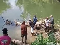 Buaya 3 Meter Kerap Muncul di Sungai Bone, Warga Tangkap Pakai Tangan Kosong