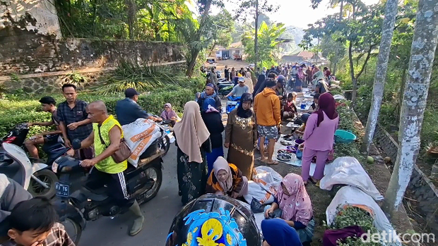 Warga Lumajang berburu ikan mabuk di Ranu Klakah. Warga Lumajang berburu ikan mabuk di Ranu Klakah.