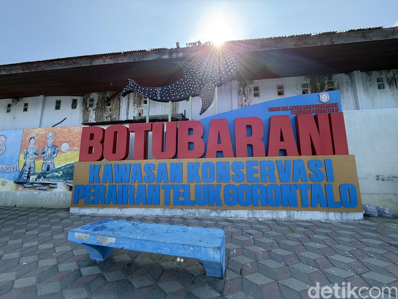 Wisata Hiu Paus Gorontalo