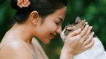 Momen Ariel Tatum Bikin Acara Ultah Kucing-kucingnya
