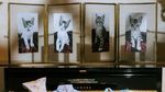 Momen Ariel Tatum Bikin Acara Ultah Kucing-kucingnya
