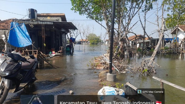 Banjir rob kembali naik dan merendan rumah warga Desa Tunggulsari Kecamatan Tayu, Selasa (14/7/2026).